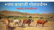 Gir Cow A2 Milk - Milk Delivery Service in Aurangabad