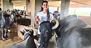22-YO Maharashtra Girl Upscales Family's Dairy Farm, Now Earns Rs 6 Lakh a Month