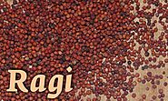 Ragi (Finger Millet): 7 Incredible Health Benefits & 6 Healthy Recipes