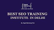 Best SEO Training Institute In Delhi [Digital Marketing Profs ]