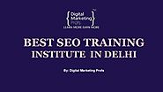 Best SEO Training Institute In Delhi [Digital Marketing Profs]