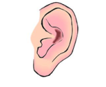Pediatric Occupational Therapy Tips: Auditory Processing Disorder