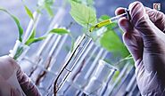 Global Agricultural Biotechnology Market Research Report – Ken Research