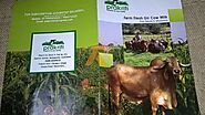 Prakriti - Farm Fresh Gir Cow Milk | ApnaComplex Classifieds