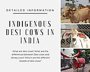 Indigenous Desi Cows in India - Detailed information – Bodhishop.in