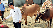 Best desi cattle: Holy cow! Best desi cattle breed to get Rs 5 lakh award - The Economic Times