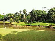 Mauritius Botanical Gardens