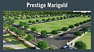 Prestige Marigold Bettenahalli, North Bangalore - Buy a plot at Prestige Marigold and build your dream house - Wattpad