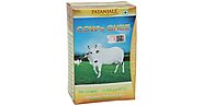 Patanjali Cow Desi Ghee 500 G