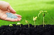 Global Biopesticides Market 2020-2030 by Product (Bioinsecticides, Biofungicides, Bionematicides, Bioherbicides), Sou...