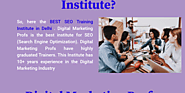 SEO Training Institute In Delhi | Digital Marketing Profs