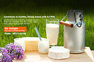 Gir Cow fresh A2 Milk and Gir Cow Ghee at your Doorstep - Anywhere in Pune - Shree Krishna Milk & Milk Products