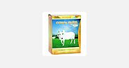 Buy Patanjali Cow Ghee 1ltr online from AGGARWAL SUPER MARKET