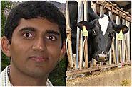 IIT Alumnus Quit US Job to Buy 20 Cows in India, Now His Dairy is Making Rs 44 Crore