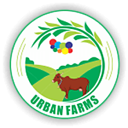Urban Farms Pune|Desi Cows Milk|A2 Milk In Pune|Gir Cows Milk| Pure Cows Milk Delivery| A2 Milk Price| Organic Milk