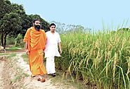 Ramdev takes a shot at turning noodles desi - BusinessToday