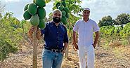 Two Brothers Organic Farm | WhatsHot Pune