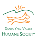 Top 10 Tips to Keep Your Dog Healthy in Hot Weather - Santa Ynez Humane Society