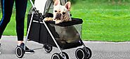 There Are Several Reasons Why You Should Buy Pet Stroller Online