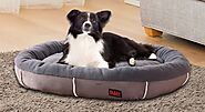 The Advantages Of Buy Dog Beds Online And Pet Supplies