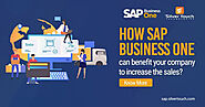 How SAP Business One can benefit Your Company