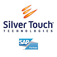 SAP Business One partner in Valsad- SAP ERP solution | Silver Touch