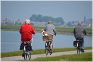 Healthy Living in Your 70s and Older | Healthcommunities