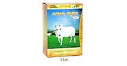 patanjali Cow Ghee - 500gpatanjali Cow Ghee - 500g