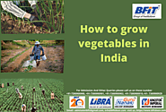 How to grow vegetables at home in India
