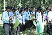 Best BSC Forestry College in Dehradun, Course, Eligibility, Criteria, Fees 2022