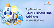 Top benefits of SAP Business One Add-ons for your Business