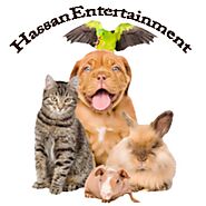 Hassan Entertainment