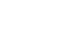 Organic Cow Milk Delhi NCR, Pure Desi Cow Milk, ghee, curd, breads, eggs in Delhi - Whytefarms