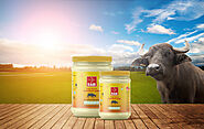 Ram Buffalo Ghee - Shop | Buffalo Ghee In India