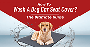 How To Wash A Dog Car Seat Cover? The Ultimate Guide