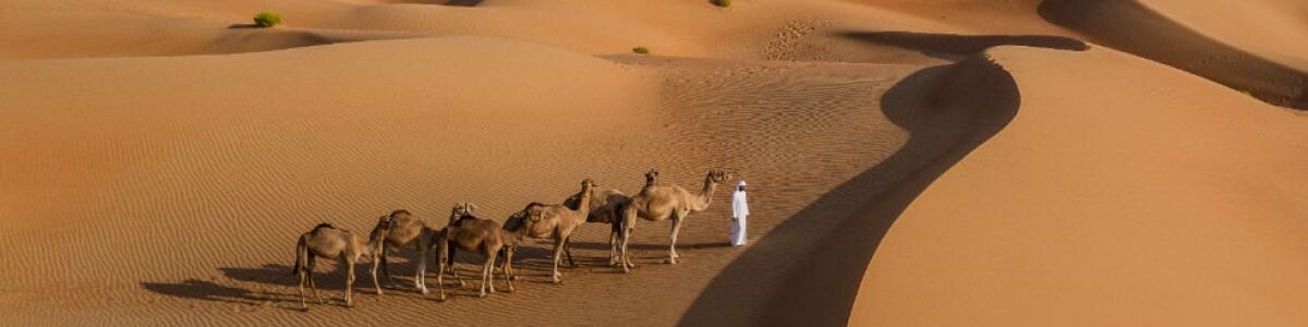 Headline for Top Desert Activities in Abu Dhabi