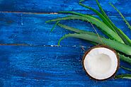 Healthy Hair With Aloe Vera and Coconut Oil - JuveTress