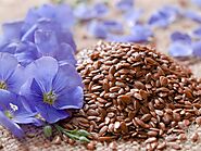 Flax Seeds - Buy Flax Seeds Online in India | The Food Folks