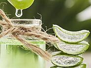 How is aloe vera good for hair?