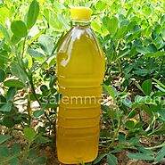 Buy Cold Pressed Groundnut Oil Online | Pure Cooking Oil at best price