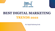Digital Marketing Course in Pitampura | Digital Marketing Profs