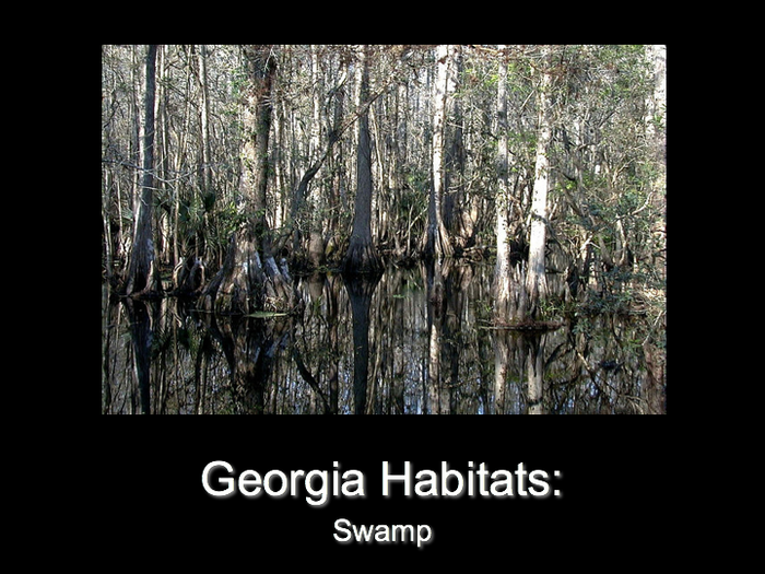 Habitats A Listly List