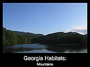 Georgia Habitats: Mountains Georgia’s mountains