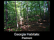 Georgia Habitats: Piedmont Boundaries The