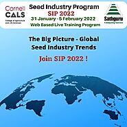 The big picture- Global seed industry trends
