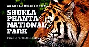 Shuklaphanta National Park: Paradise For Wildlife Observation