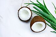 Aloe Vera & Coconut Oil For Dry Scalp & Dandruff (Remedy Recipe) 2020