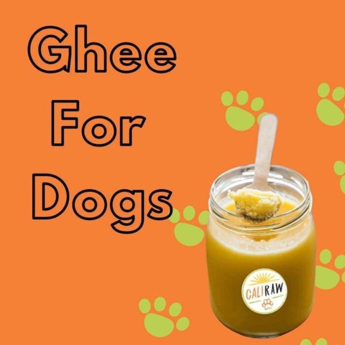 Milk With Ghee Disadvantages A Listly List