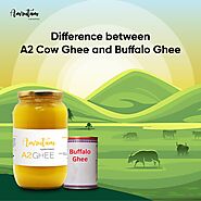 What is the difference between A2 Cow Ghee and Buffalo Ghee – Amrutam Ghee