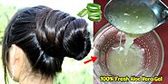 Aloe Vera and Coconut Oil Hair Pack for Damaged Hair